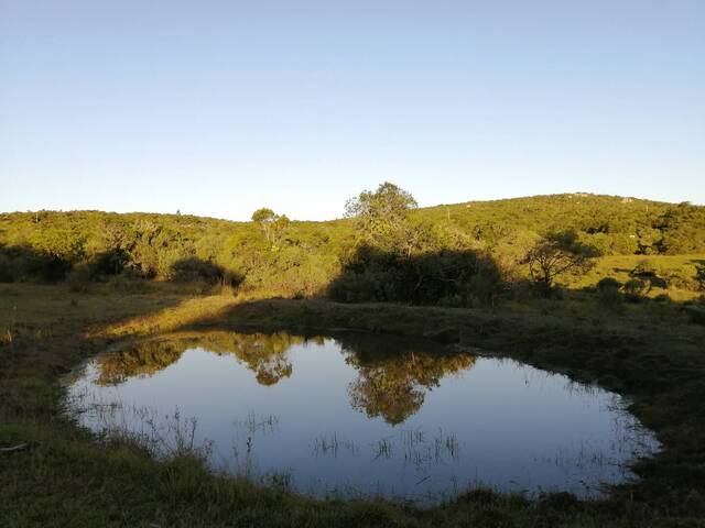 #31 - Quinta para Venta en Maldonado - UY-MA