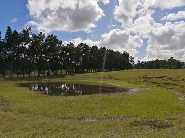 Quinta para Venta en Maldonado - 5